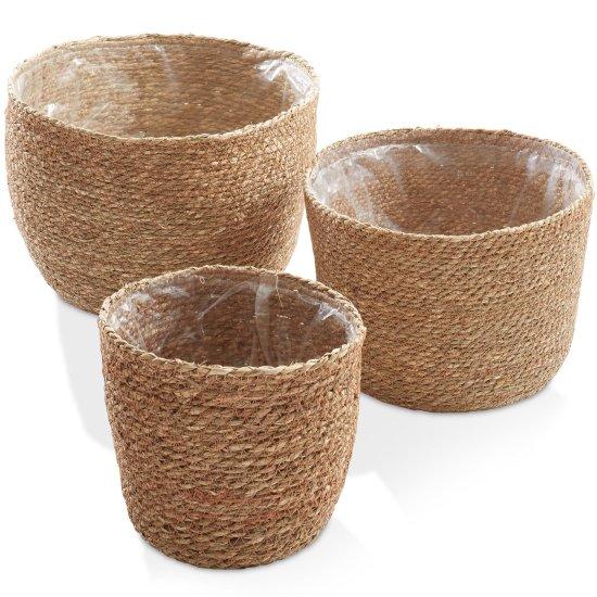 Rattan Saksılık