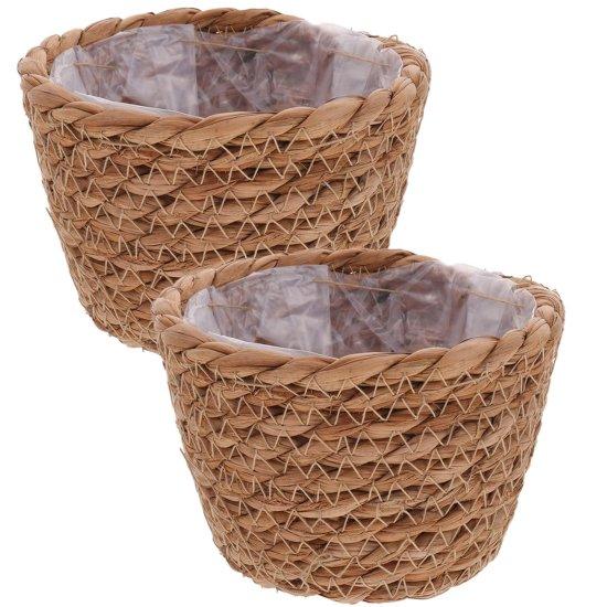 Rattan Saksılık