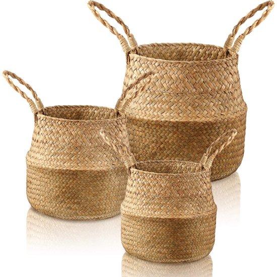 Rattan Saksılık