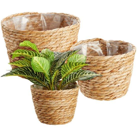 Rattan Saksılık