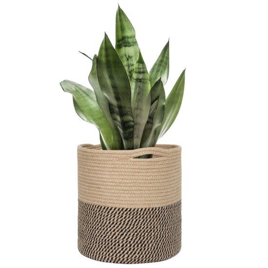 Rattan Saksılık