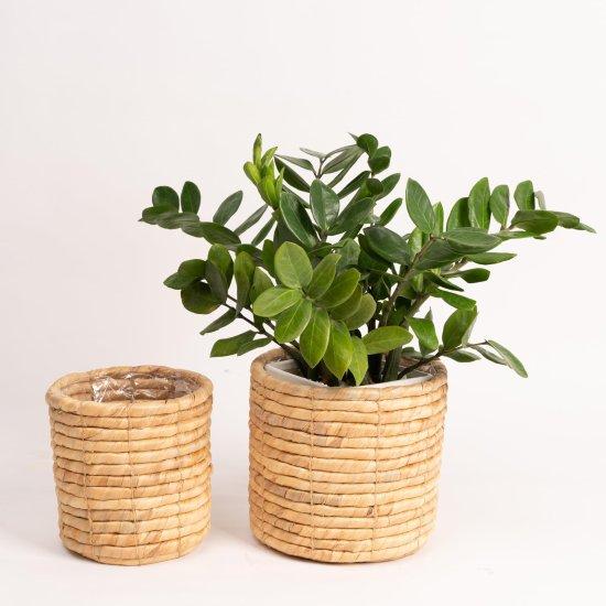 Rattan Saksılık