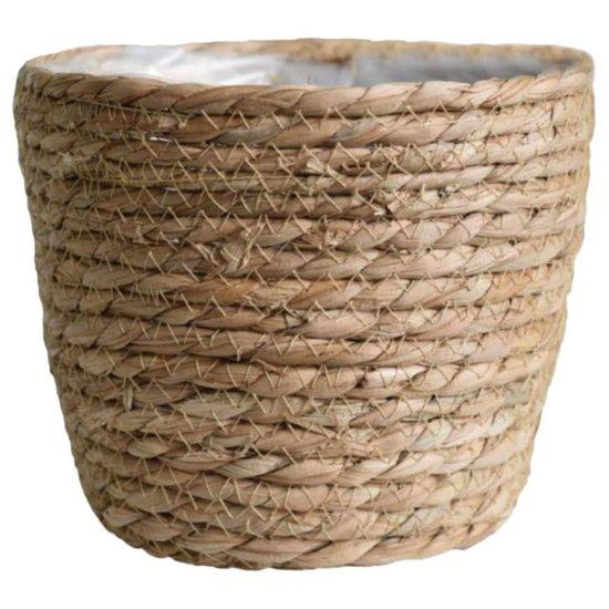 Rattan Saksılık