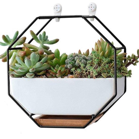 Sukulent Saksısı