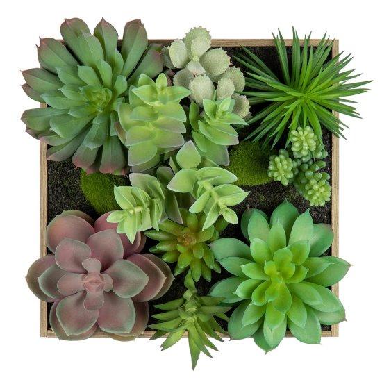 Sukulent Saksısı
