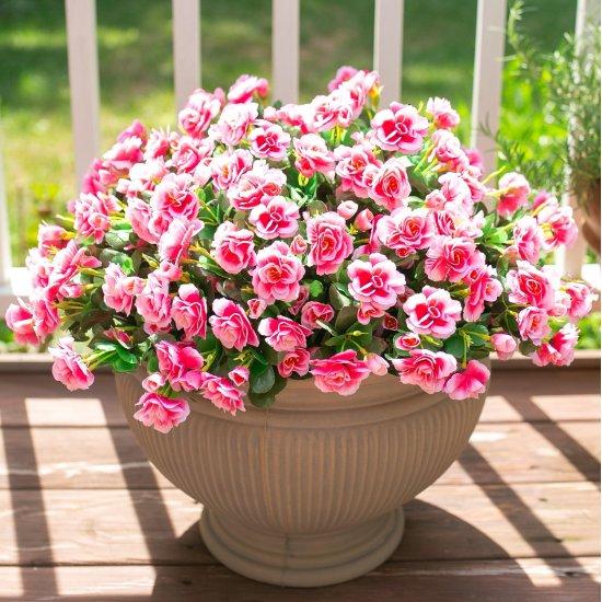 Yapay Balkon Çiçekleri