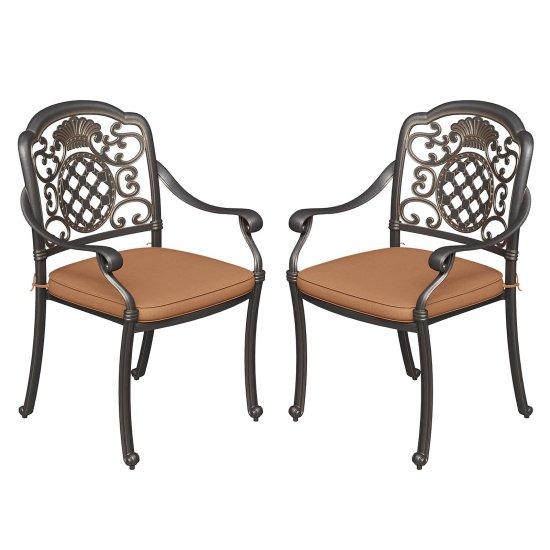 Demir Bahçe Sandalyesi